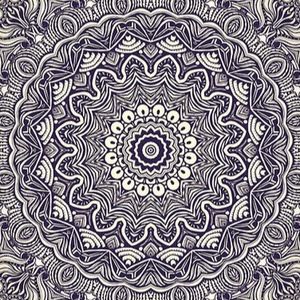 Meet your Posher, Rosa